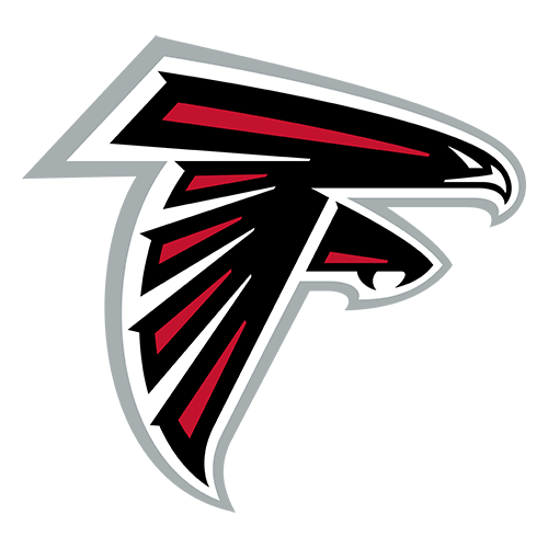 Falcons partnership