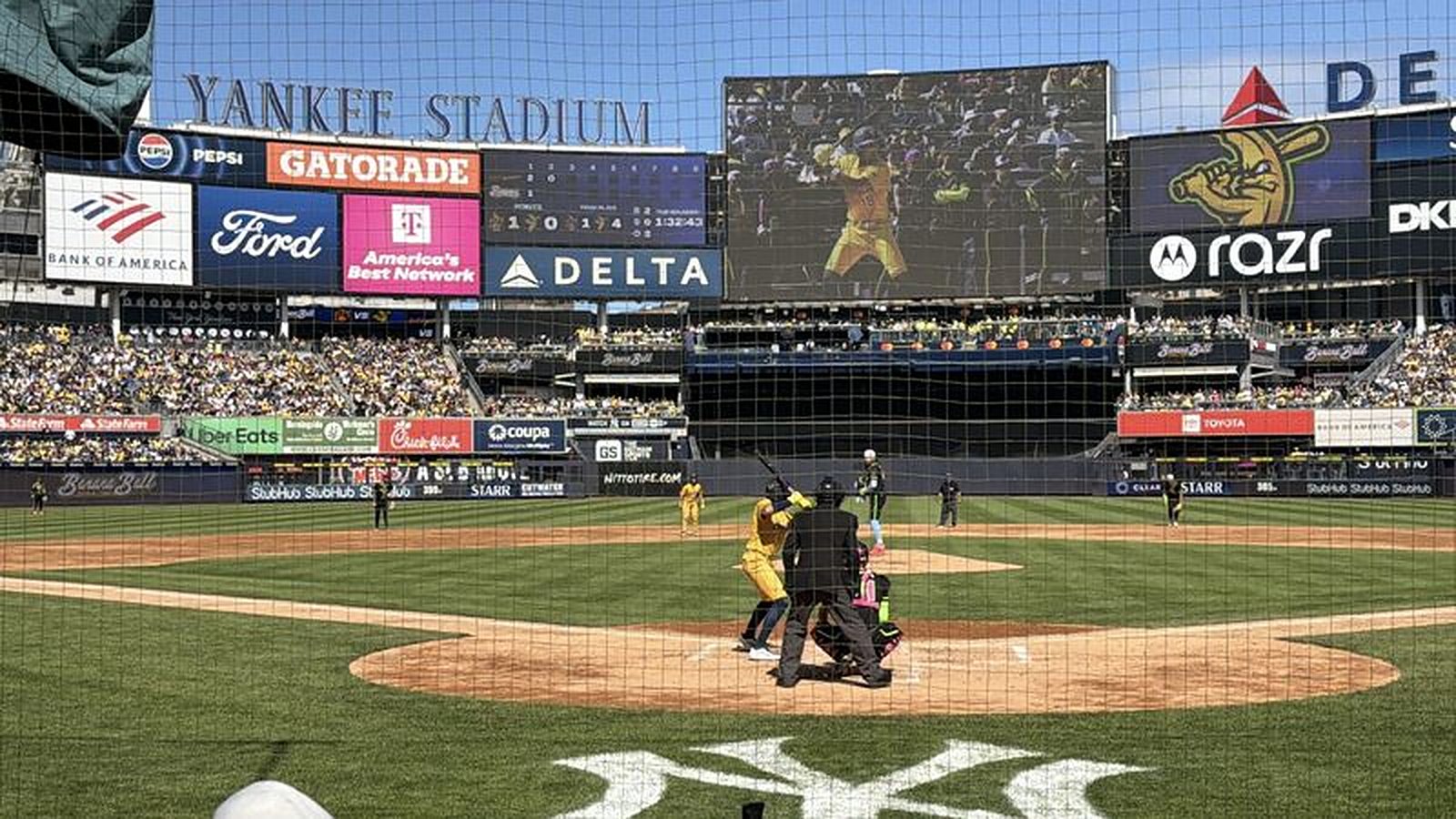 Big Energy at Yankee Stadium — The Savannah Bananas